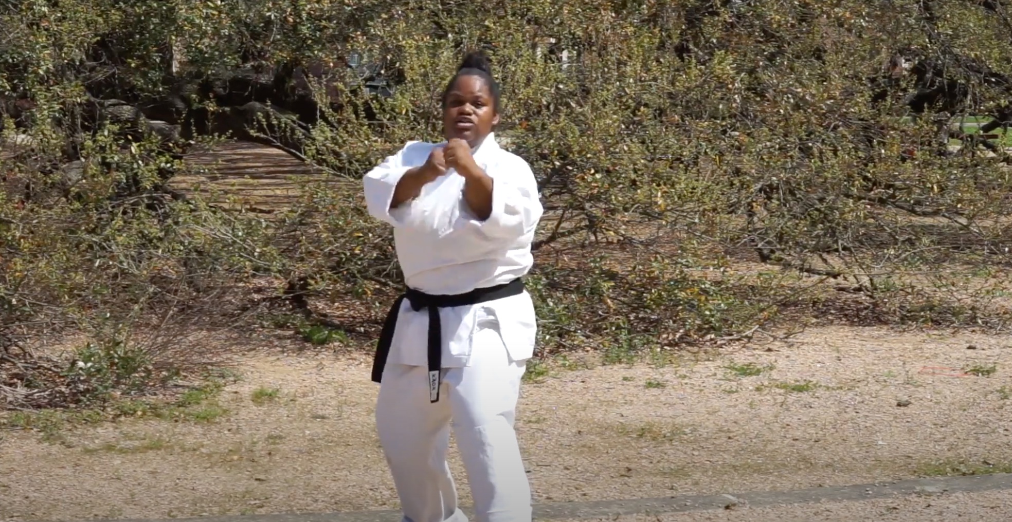 Shotokan Lesson One photo