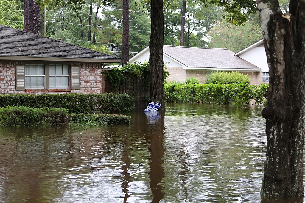 Hurricane Flooding and Damage photo