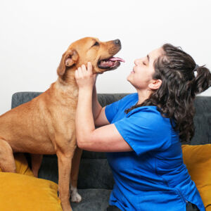 Shop Our 2026 Plans - Community Health Choice